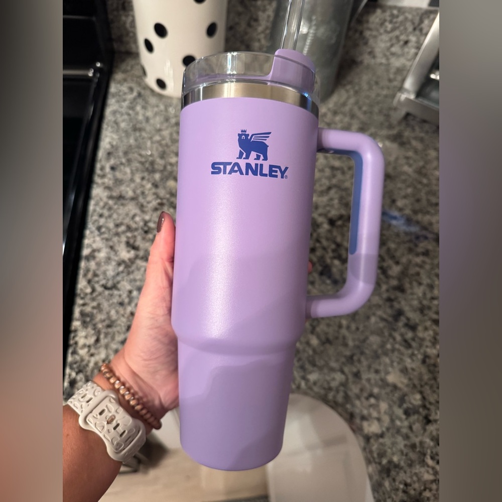 Purple and blue Stanley 30oz. Like new.
